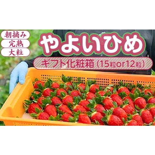 ふるさと納税 いちご 茨城県 常総市 1月中旬〜4月上旬発送 やよいひめ いちご 朝摘み 完熟 大粒 ギフト化粧箱 15粒or12粒 茨城県常総市産 | 苺 イチゴ 2026年…