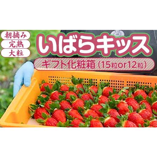 ふるさと納税 いちご 茨城県 常総市 1月中旬〜4月上旬発送 いばらキッス いちご 朝摘み 完熟 大粒 ギフト化粧箱 15粒or12粒 茨城県常総市産 | 苺 イチゴ 2026…