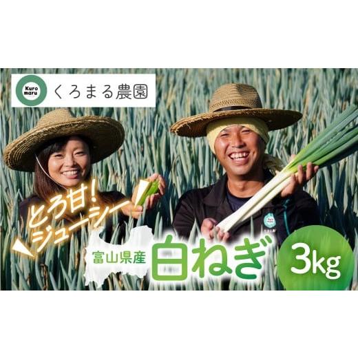 ふるさと納税 野菜類 ねぎ 富山県 富山市 くろまる農園 富山の白ネギ(泥付き)3キロ