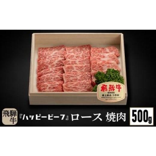 ふるさと納税 牛肉 ロース 岐阜県 高山市 飛騨牛 A5等級 ロース 500g | 焼肉 飛騨牛 ブランド牛 ロース バーベキュー 焼肉 飛騨牛 ロース バーベキュー 焼…
