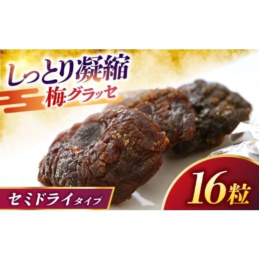 ふるさと納税 菓子 福井県 小浜市 うめグラッセ セミドライ 16粒入 紅映梅使用 / 梅 ウメ 甘酸っぱい 梅スイーツ 小浜市 / アップ・トゥ・ユウ
