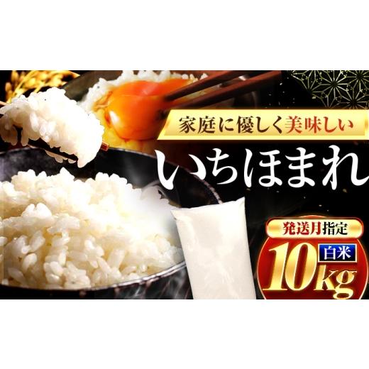 ふるさと納税 米 福井県 小浜市 5月発送 福井県産 いちほまれ 精米 10kg 県産ブランド米 / コメ 白米 米 小浜市 / 梅田東米穀店 BFEK024 5月発送