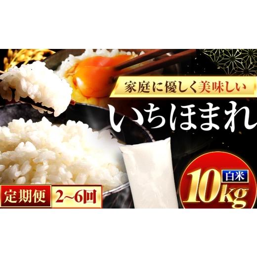 ふるさと納税 米 福井県 小浜市 3か月連続発送 福井県産 いちほまれ 精米 10kg 県産ブランド米 / コメ 白米 米 小浜市 / 梅田東米穀店 BFEK033 3か月連続発…