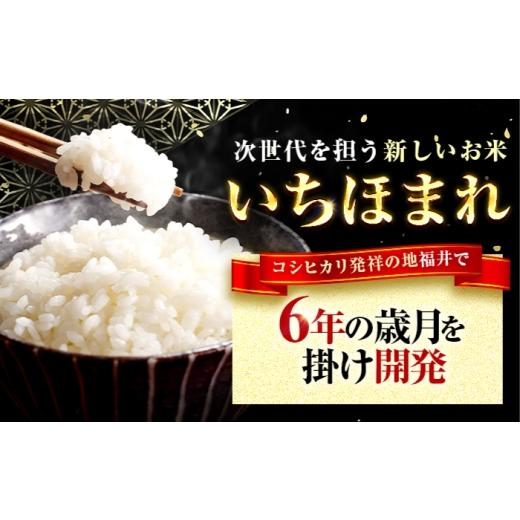 ふるさと納税 米 福井県 小浜市  3か月連続発送 福井県産 いちほまれ 精米 10kg 県産ブランド米 ／ コメ 白米 米 小浜市 ／ 梅田東米穀店 BFEK033 3か月連続発…の画像