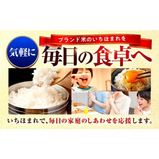 ふるさと納税 米 福井県 小浜市  3か月連続発送 福井県産 いちほまれ 精米 10kg 県産ブランド米 ／ コメ 白米 米 小浜市 ／ 梅田東米穀店 BFEK033 3か月連続発…の画像