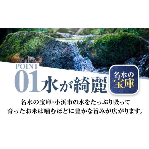 ふるさと納税 米 福井県 小浜市  3か月連続発送 福井県産 いちほまれ 精米 10kg 県産ブランド米 ／ コメ 白米 米 小浜市 ／ 梅田東米穀店 BFEK033 3か月連続発…の画像