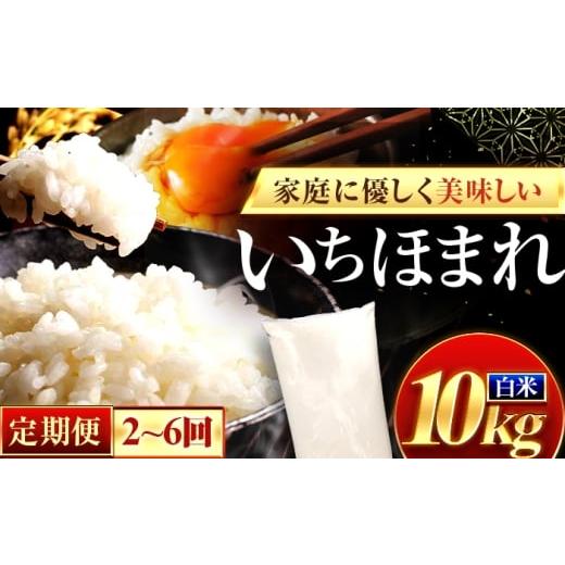 ふるさと納税 米 福井県 小浜市 2か月連続発送 福井県産 いちほまれ 精米 10kg 県産ブランド米 / コメ 白米 新米 米 小浜市 / 梅田東米穀店 BFEK032 2か月…
