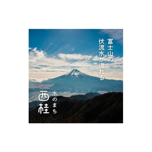 ふるさと納税 カバン トートバッグ 山梨県 西桂町 軽量で大容量の北欧デザイン2WAYバッグ スティグリンドベリ 老舗ファクトリーが手掛けるデザインバッグ ポテ…の画像