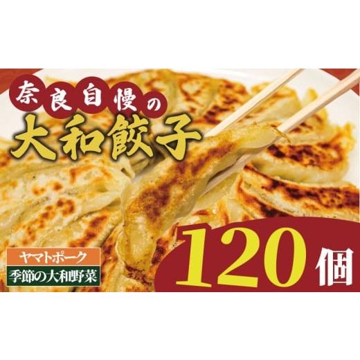 ふるさと納税 餃子 奈良県 奈良市 大和餃子 120個 冷凍 小分け 奈良 国産 大和豚 ヤマトポーク 大和野菜 餃子 ぎょうざ ギョーザ 豚肉 肉 お肉 家族 子ども 冷…