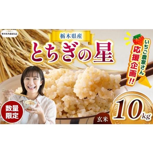 食品 令和6年 栃木県産 とちぎの星 15キロ 玄米 精米可