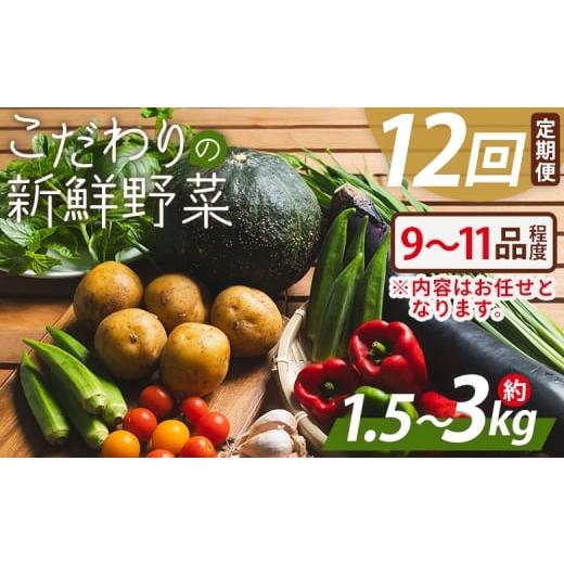 ふるさと納税 セット・詰合せ 高知県 香南市 野菜 定期便 こだわりの新鮮野菜 12回定期便 9〜11品程度 お任せ 野菜 やさい 12 青果 12か月 朝採れ 新鮮 旬の…