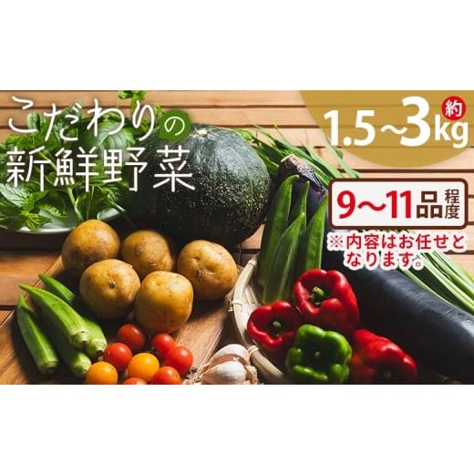 ふるさと納税 セット・詰合せ 高知県 香南市 野菜詰め合わせ こだわりの新鮮野菜 9〜11品程度 お任せ 野菜 やさい 青果 朝採れ 新鮮 旬の野菜 ヤサイ ヤサイ …