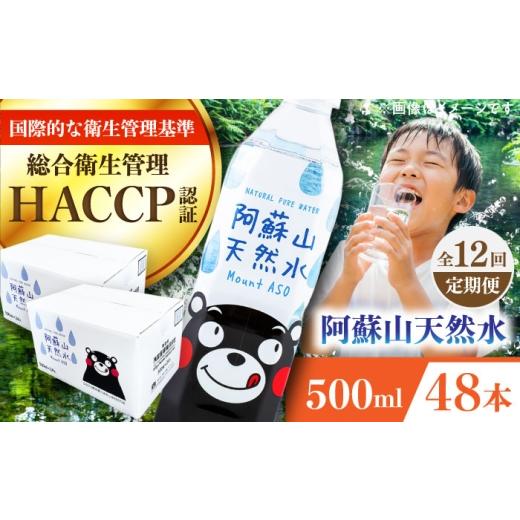 ふるさと納税 水・ミネラルウォーター 500mL〜999mL 熊本県 菊陽町  全12回定期便 阿蘇山天然水 500ml 計48本(24本×2ケース) ／ 天然水 ミネラルウォーター …の画像
