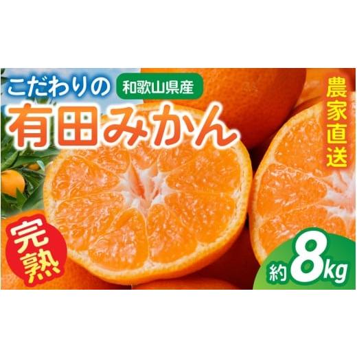 ふるさと納税 果物類 みかん 和歌山県 かつらぎ町 ご家庭用 農家直送 こだわりの完熟有田みかん 約8kg+250g(傷み補償分)(傷み補償分) 1月発送 CE-nuk100-01 …