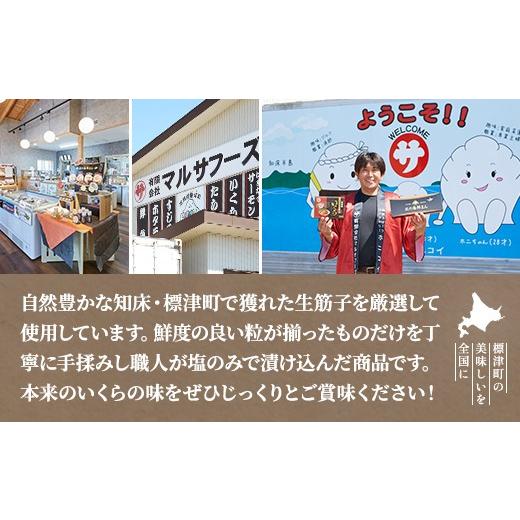 ふるさと納税 いくら 北海道 標津町 北海道産 いくら 120g パック 塩漬け 塩いくら 塩イクラ 塩 国産 天然 人気 おすすめ いくら人気 さけ サケ 鮭 鮭いくら …の画像
