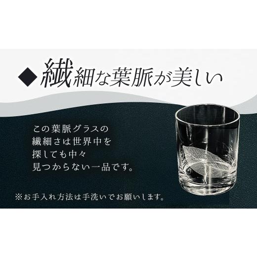 ふるさと納税 雑貨・日用品 グラス 千葉県 山武市 ロックグラス２個セット SMCT006の画像