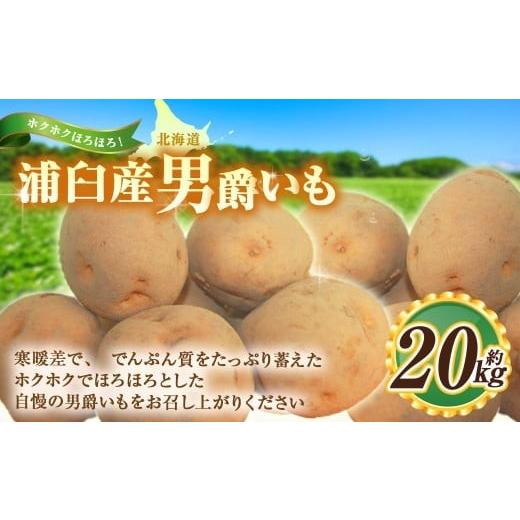 ふるさと納税 野菜類 じゃがいも 北海道 浦臼町 男爵いも 約20kg 野菜 芋 いも じゃがいも ジャガイモ ポテト 男爵 北海道 浦臼町 2026年9月上旬〜2026年9月下…