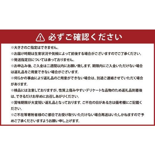 ふるさと納税 野菜類 じゃがいも 北海道 浦臼町 男爵いも 約20kg 野菜 芋 いも じゃがいも ジャガイモ ポテト 男爵 北海道 浦臼町 2026年9月上旬〜2026年9月下…