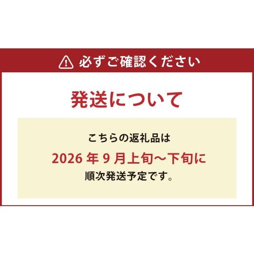 ふるさと納税 野菜類 じゃがいも 北海道 浦臼町 男爵いも 約20kg 野菜 芋 いも じゃがいも ジャガイモ ポテト 男爵 北海道 浦臼町 2026年9月上旬〜2026年9月下…