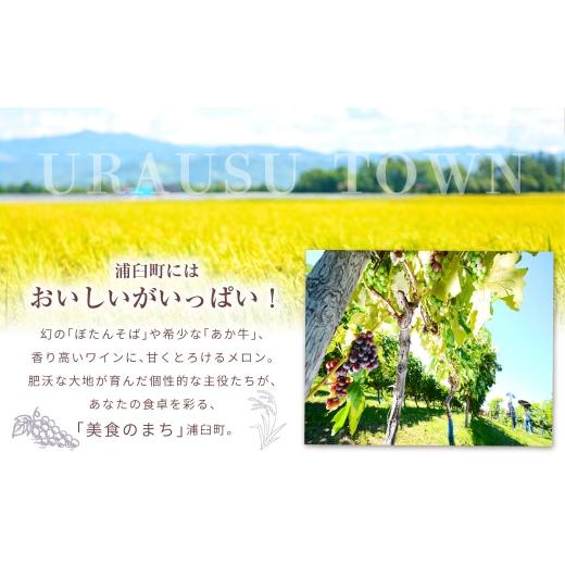 ふるさと納税 野菜類 じゃがいも 北海道 浦臼町 男爵いも 約20kg 野菜 芋 いも じゃがいも ジャガイモ ポテト 男爵 北海道 浦臼町 2026年9月上旬〜2026年9月下…