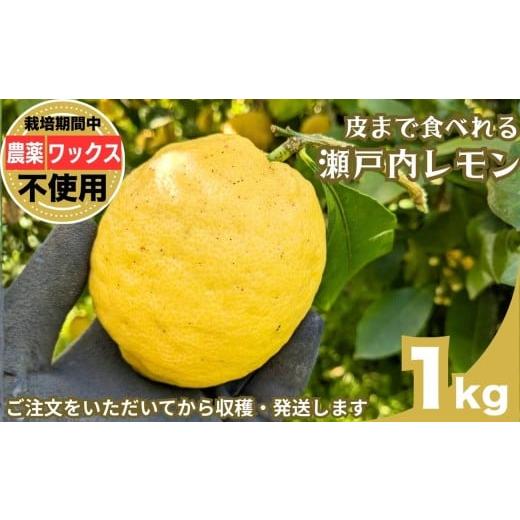 ふるさと納税 みかん・柑橘類 レモン 広島県 竹原市 予約販売 注文後収穫 瀬戸内レモン 1kg 栽培期間農薬不使用 ワックス不使用 皮まで食べれる | レモン 檸…