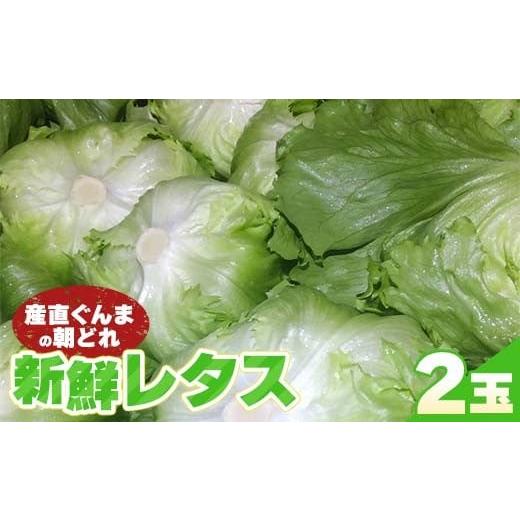 ふるさと納税 野菜類 群馬県 富岡市 産直ぐんまの朝どれ 新鮮レタス 300g以上×2個 F21E-491
