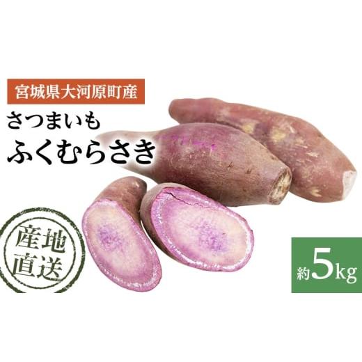 ふるさと納税 野菜類 サツマイモ 宮城県 大河原町 さつまいも 約5kg ふくむらさき サツマイモ 宮城県産 甘い 秋 冬 スイーツ いも 産地直送 宮城県 大河原町