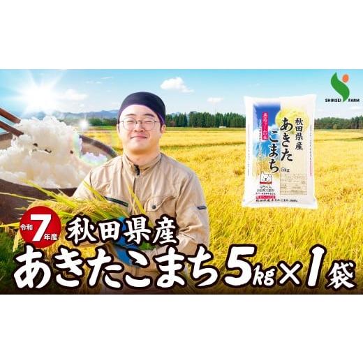 ふるさと納税 米 あきたこまち 秋田県 大館市 令和7年産秋田県産あきたこまち(普通米)5kg / 米 普通米 5kg 白米 令和7年産 秋田県産 あきたこまち 5…
