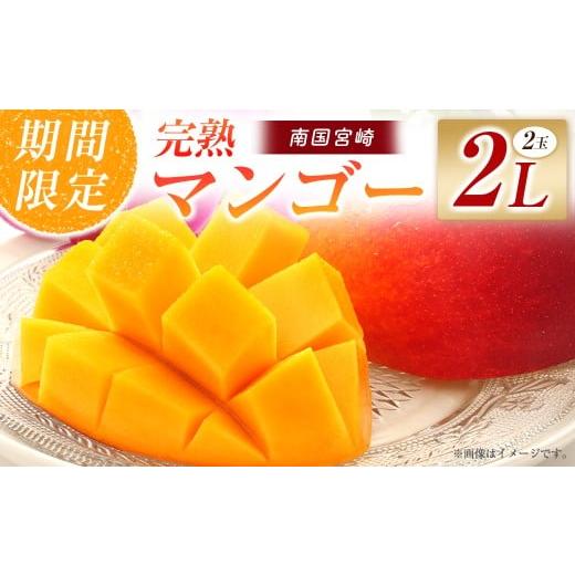 ふるさと納税 マンゴー 宮崎県 小林市 令和8年発送 先行予約 完熟マンゴー 2L×2玉(フルーツ マンゴー 完熟マンゴー アップルマンゴー 果物 くだもの 先行受…