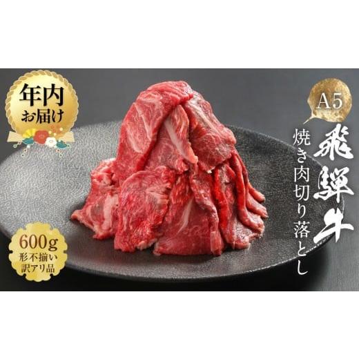 ふるさと納税 牛肉 岐阜県 高山市 12月配送 形不揃い訳あり A5等級飛騨牛 焼肉 切り落とし600g(冷蔵配送)| 年内発送 牛肉 肉 和牛 キャンプ 肉料理 ブラン…