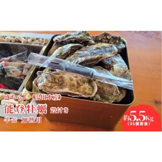 ふるさと納税 牡蠣 石川県 七尾市 盛ちゃん(湯田水産) 能登牡蠣 殻付き 半缶(35個前後) 約5.5kg 加熱用