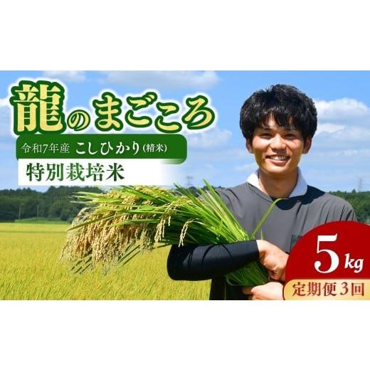 ふるさと納税 米 コシヒカリ 茨城県 龍ケ崎市 3ヵ月定期便 令和7年度米 龍ケ崎の特別栽培米 コシヒカリ 5kg ? こしひかり コシヒカリ お米 米 こめ 白米 精米…
