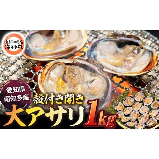 ふるさと納税 魚貝類 愛知県 南知多町 訳あり 大アサリ 1kg 愛知県 南知多町 1kg : 10,000円