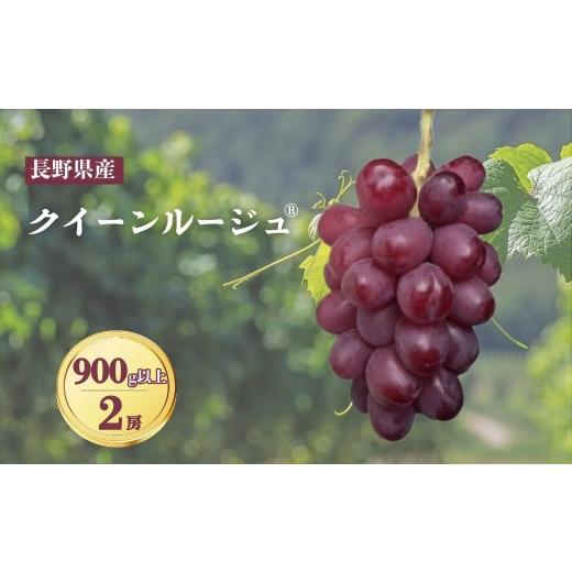 ふるさと納税 ぶどう マスカット 長野県 千曲市 2026年先行予約 クイーンルージュ? 900g以上(2房)|ぶどう 大粒 赤ぶどう 種無し 皮ごと 信州 長野県 千曲…