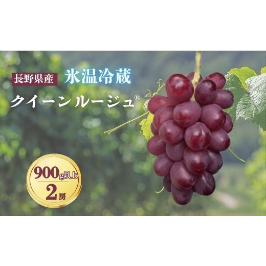 ふるさと納税 果物類 ぶどう 長野県 千曲市 2026年先行予約 氷温保存クイーンルージュ? 900g以上(2房)|ぶどう 大粒 赤ぶどう 種無し 皮ごと 信州 長野県 …