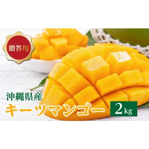 ふるさと納税 マンゴー 沖縄県 南城市 キーツマンゴー2kg 贈答用 I キーツマンゴー きーつまんごー マンゴー まんごー トロピカルフルーツ フルーツ 贈答用 20…