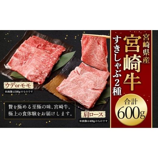 ふるさと納税 牛肉 ロース 宮崎県 高鍋町 宮崎牛すきしゃぶ2種(赤身霜降り) 計600g 2026年2月上旬より順次出荷 300g×2パック お肉 肉 宮崎牛 牛肉 赤身 肩…