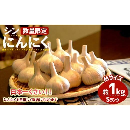 ふるさと納税 野菜類 大阪府 箕面市 7月上旬〜9月中旬発送予定 数量限定 シン・にんにく(Sランク・Mサイズ約1kg) m102-01 トラキチ Mサイズ(約1kg)