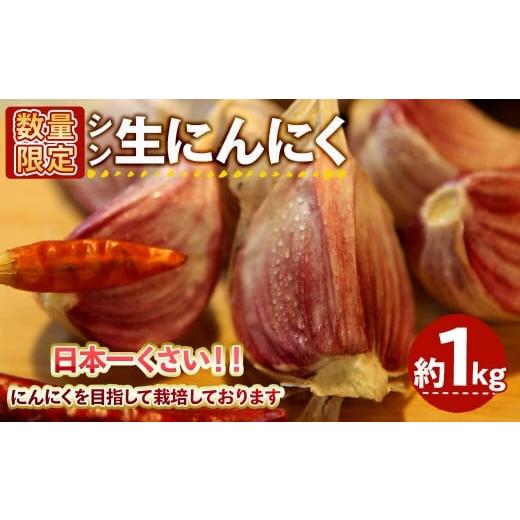 ふるさと納税 野菜類 大阪府 箕面市 5月中旬〜6月上旬発送予定 数量限定 シン・にんにく 生ニンニク(約1kg) m102-07 トラキチ