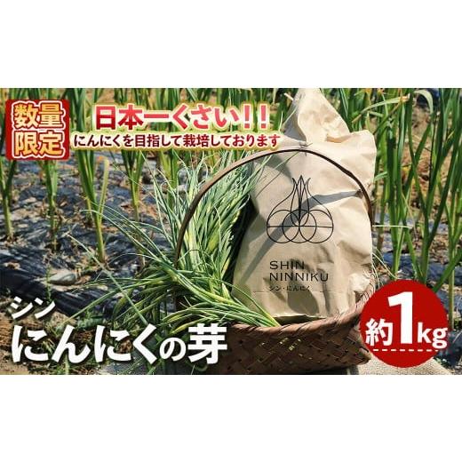 ふるさと納税 野菜類 大阪府 箕面市 4月中旬〜5月上旬発送予定 数量限定 シン・にんにく にんにくの芽(約1kg) m102-08 トラキチ