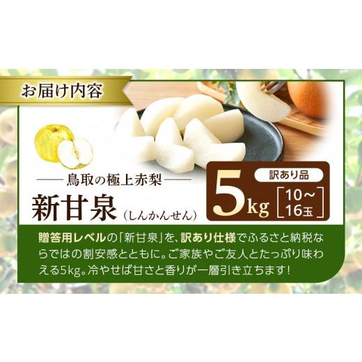 ふるさと納税 梨 鳥取県 北栄町  2026年度発送 先行予約 訳あり 新甘泉 5kg 梨 なし しんかんせん 5キロ 家庭用 訳アリ 令和8年 先行受付 新鮮 鳥取県産 鳥取… |  | 04