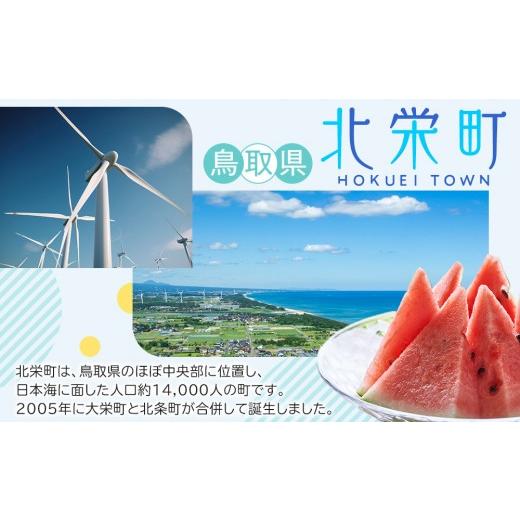 ふるさと納税 梨 鳥取県 北栄町  2026年度発送 先行予約 訳あり 新甘泉 5kg 梨 なし しんかんせん 5キロ 家庭用 訳アリ 令和8年 先行受付 新鮮 鳥取県産 鳥取… |  | 06