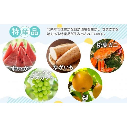 ふるさと納税 梨 鳥取県 北栄町  2026年度発送 先行予約 訳あり 新甘泉 5kg 梨 なし しんかんせん 5キロ 家庭用 訳アリ 令和8年 先行受付 新鮮 鳥取県産 鳥取… |  | 08