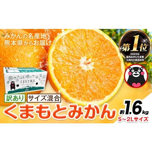 ふるさと納税 果物類 みかん 熊本県 玉東町 みかん 訳あり くまもとみかん 約1.6kg S-2Lサイズ サイズ混合 ご家庭用[7-14日以内に出荷予定(土日祝除く)] 訳…