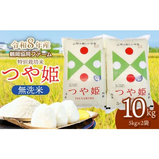 つや姫 無洗米 10kg 令和8年1月精米 ふるさと納税 無洗米 山形県 鶴岡市 令和8年産先行予約 特別栽培米つや