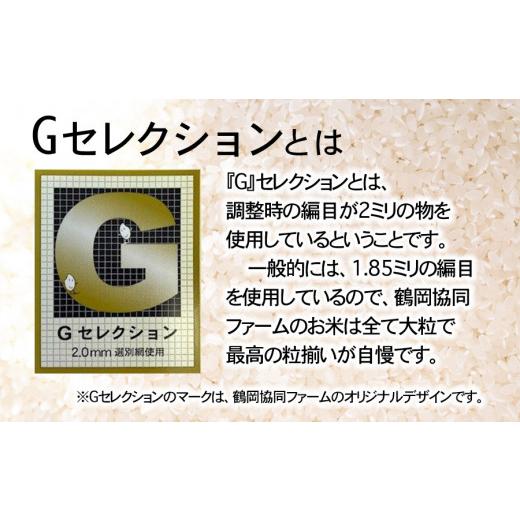 ふるさと納税 無洗米 山形県 鶴岡市 令和8年産先行予約 特別栽培米つや