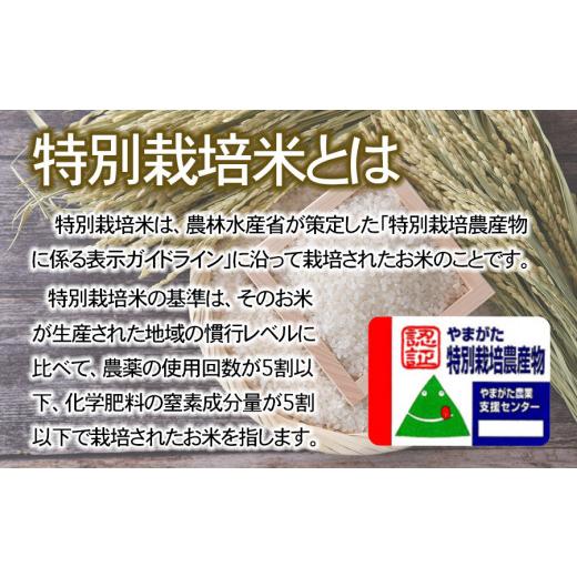 ふるさと納税 無洗米 山形県 鶴岡市 令和8年産先行予約 特別栽培米つや