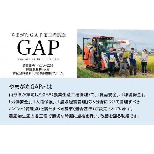 ふるさと納税 無洗米 山形県 鶴岡市 令和8年産先行予約 特別栽培米つや