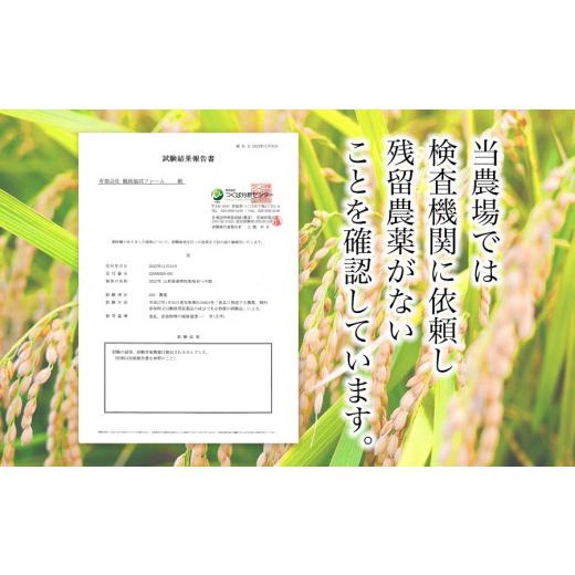 ふるさと納税 無洗米 山形県 鶴岡市 令和8年産先行予約 特別栽培米つや