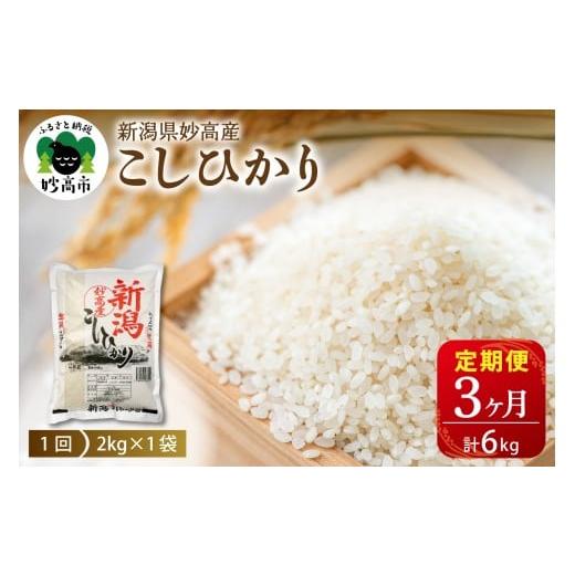 ふるさと納税 米 コシヒカリ 新潟県 妙高市 2026年2月上旬発送 定期便 新潟県矢代産コシヒカリ2kg×3回(計6kg) 2026年2月上旬より発送